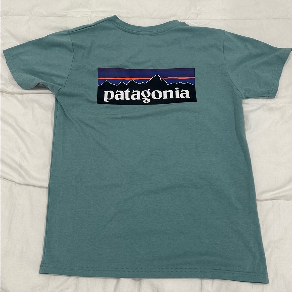 Patagonia T Shirt
